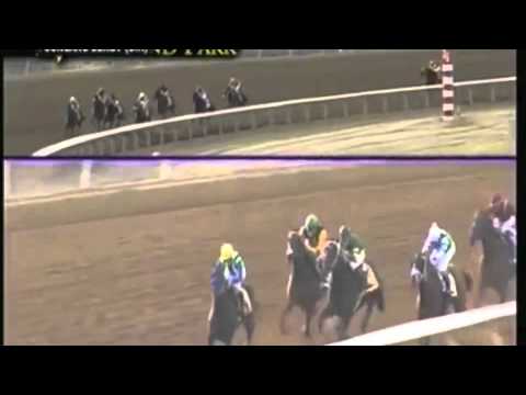 Kentucky Derby 2012 Prep Recaps--Daddy Nose Best, Went the Day Well