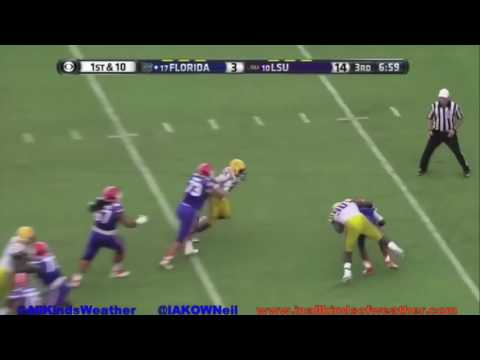 Florida Under Will Muschamp Fail Compilation