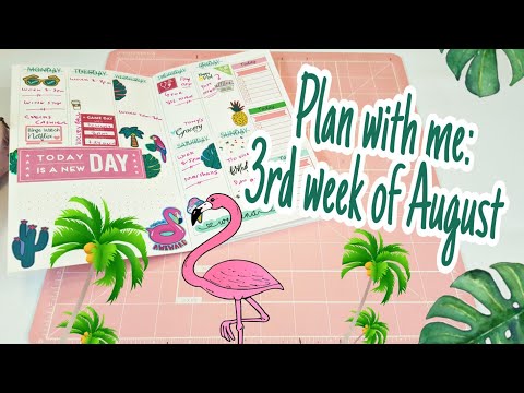 Plan with me 3rd week of August | Traveler's Notebook | Planning With Eli