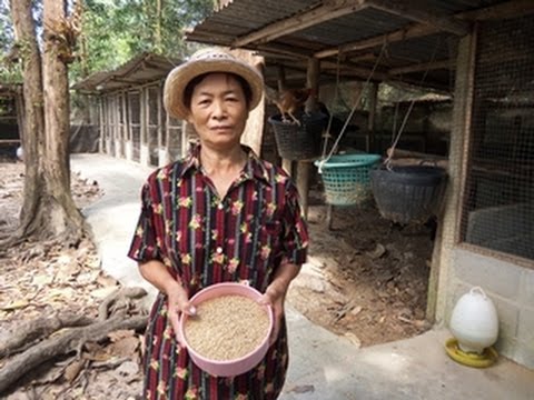นวดครีมเต้านม เพลงสำหรับหน้าอกเล็ก