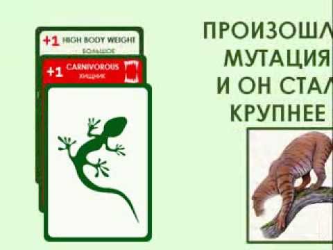 Видео обзор