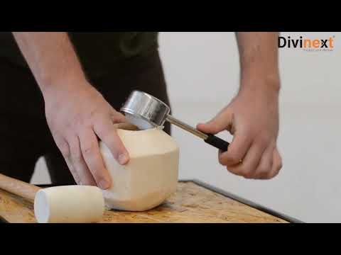 Open Young Coconuts Tool Coconut Opener Tools with Rubber Hammer