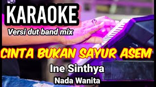 Download lagu CINTA BUKAN SAYUR ASEM - Ine Sinthya | Karaoke dut band mix nada wanita | Lirik mp3