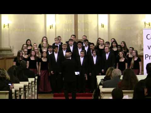 Prague Day 6: Concert at St. Salvator: A Cappella ~ Alleluia (Berger)