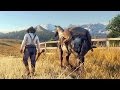 RED DEAD REDEMPTION 2 Bande Annonce 