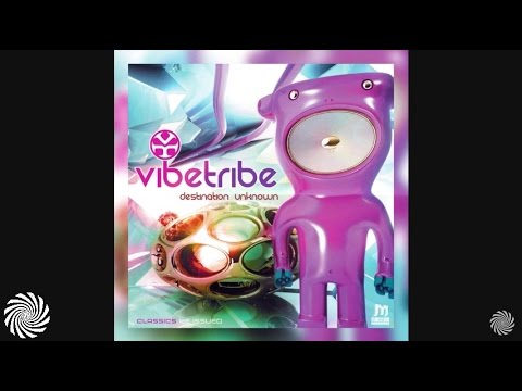 Vibe Tribe & Freedom Fighters - No Limits