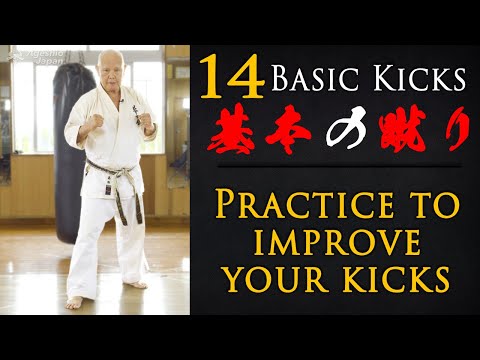 Basic Karate Kicks | Okinawan Karate | Everyday Karate at Home | Ageshio Japan