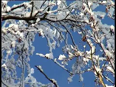 Krieghoff: Universal-Abzug-System - Universal Trigger System