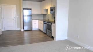 BluWater Apartments in Jacksonville Beach, FL - ForRent.com