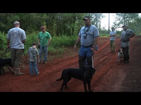 アラバマ州への侵入