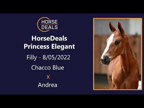 HorseDeals Princess Elegant