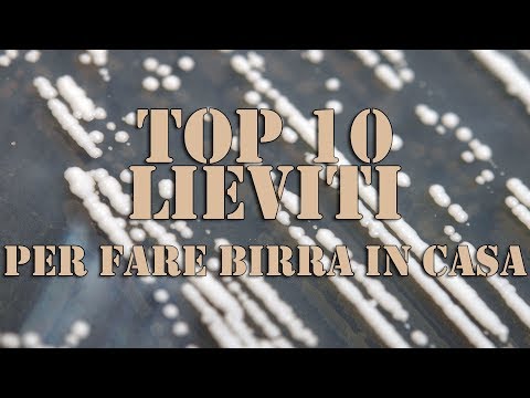 Cosa fare quando limpotenza del marito Circa la potenza del verso