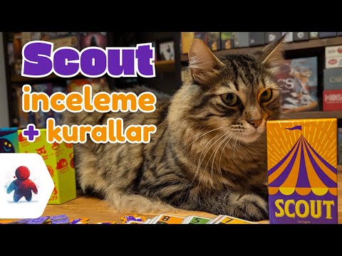  Scout - Oink Games’in Parlayan Yıldızı!