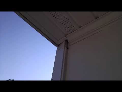 Wasps Sneak Into Home in Farmingdale, NJ