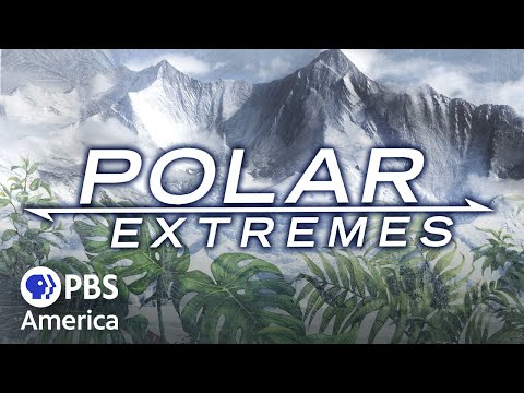 Polar Extremes (2023) | Full Documentary | NOVA