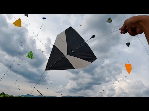 Pipão de Biqueira Subiu no Meio do Aglomerado de Pipas no Festival