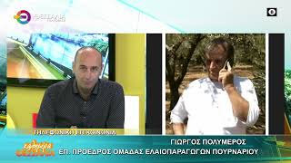 Η ΕΛΑΙΟΠΑΡΑΓΩΓΗ ΤΗΣ ΦΕΤΙΝΗΣ ΧΡΟΝΙΑΣ_ΓΙΩΡΓΟΣ ΠΟΛΥΜΕΡΟΣ 20 11 2025