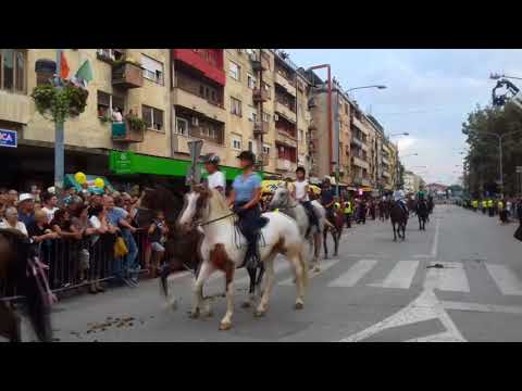 Defile i dolazak đenerala Ilije Gojkovića, govori Ivan Vučković