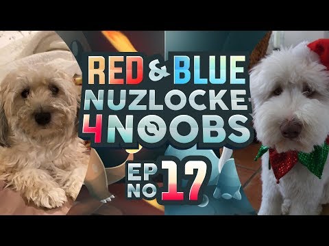 "That's Not A Verb" | Nuzlocke 4 Noobs Red and Blue EP 17 #N4N