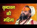 The Beautiful Glory Of Shri Dham Vrindavan The Beautiful Glory Of Vrindavan