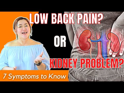 Kidney Problems can cause Low Back Pain! Know the 7 symptoms | Doc Cherry