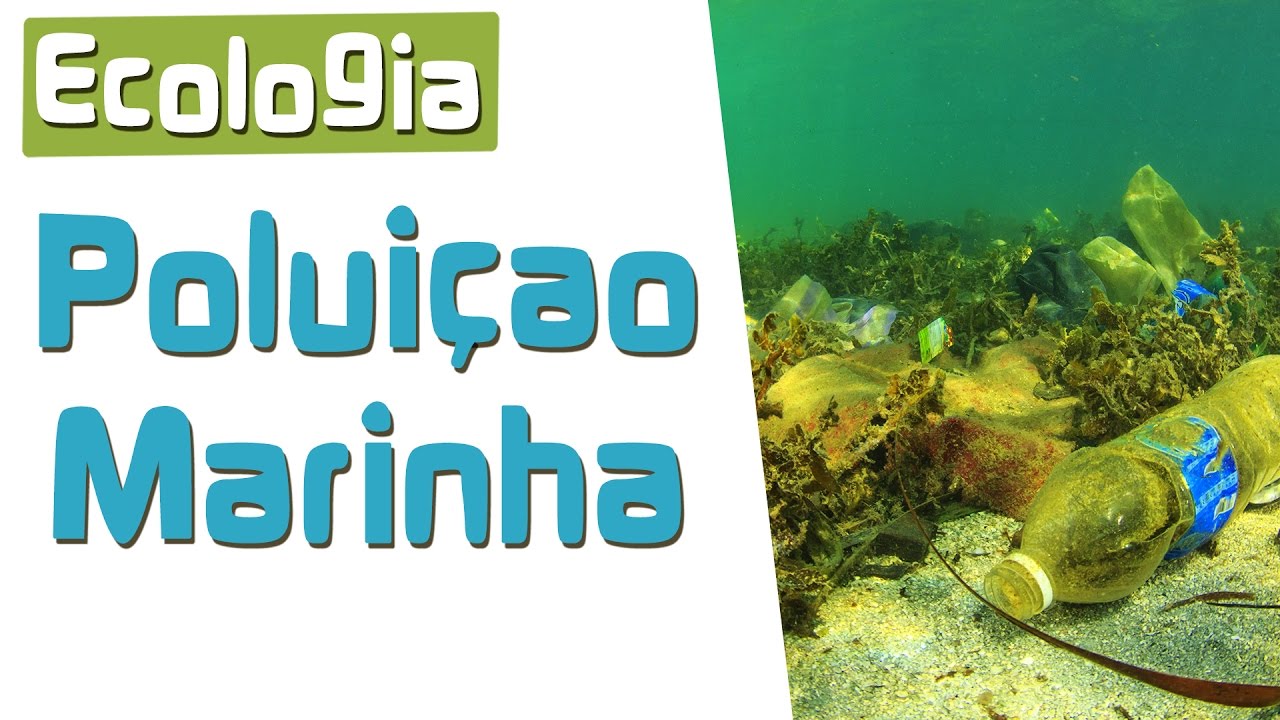 Poluição da água | O Mar não está para peixe | Biosfera