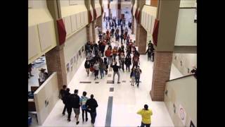 preview picture of video 'Harlem Shake - Porter High School Edition [OFFICIAL]'