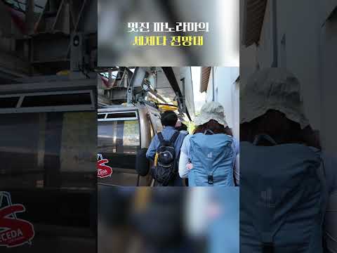 YouTube 쇼츠 썸네일