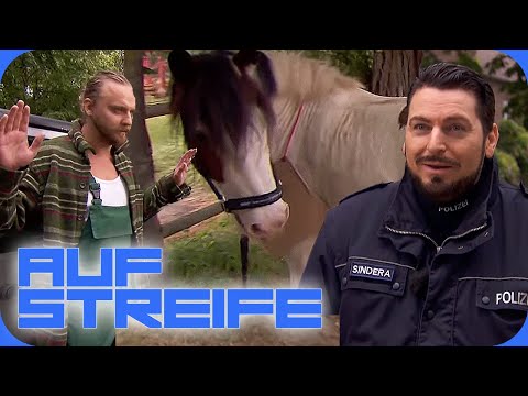 Pony gestohlen & ausgesetzt: Hat sich der Tierquäler an der Besitzerin gerächt?| Auf Streife | SAT.1