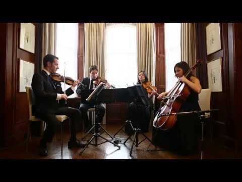 Rather Be- Clean bandit ( string quartet cover) Wellington Music