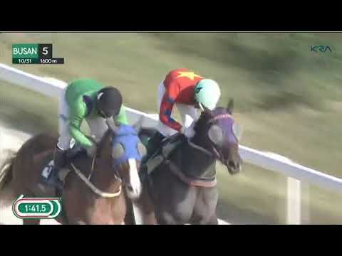 Race-5 in BUSAN SOUTH KOREA