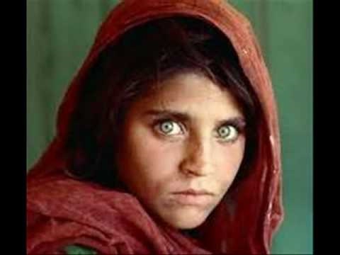 Velha Cicatriz Rosa de Saron