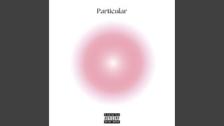 Particular