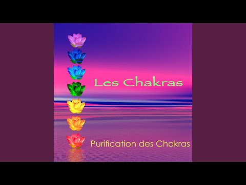 download lagu mp3 mp4 Chakra Nombril, download lagu Chakra Nombril gratis, unduh video klip Chakra Nombril