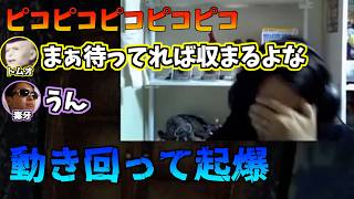 危険を察知するも動き回る無能ブラザーズ