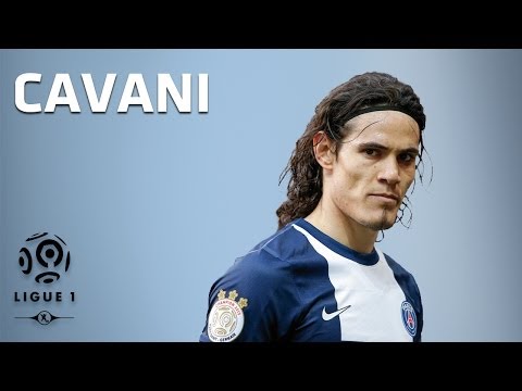 Edinson Cavani - All 16 Goals - 2013-2014