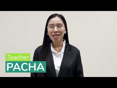 Pachaのプロフィール動画