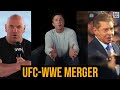 Re The UFC WWE Merger Don T Be DUMB