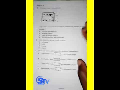 Biology Paper 1 Revision (2013)