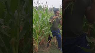 Download lagu gausar pora makai chini khalu,🌽🌽🌽👍👌🤤 #shorrts video mp3