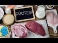 Proteins (በአማርኛ) Grade 9 Biology Unit 3 Part 2