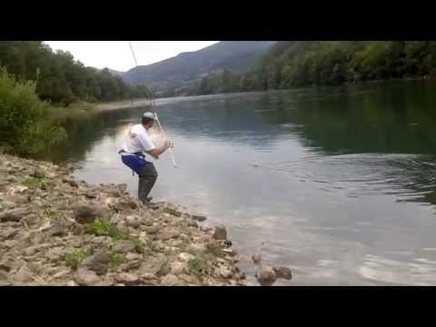 Majstor Coder lovi skobalja