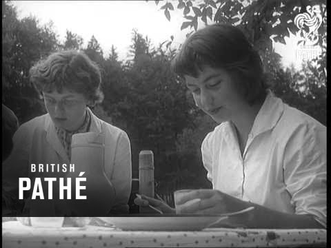 Horses In The House (1956)