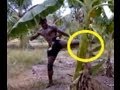 BUAKAW BANANA TREE KICK: How did he do it ...