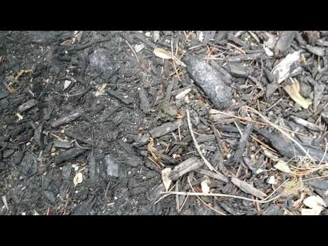 Exterminators in Howell, NJ