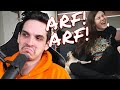 Nik Nocturnal Now That S A True ARF ARF Necropug Hungry Demon 2SICH