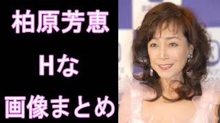 【柏原芳恵】