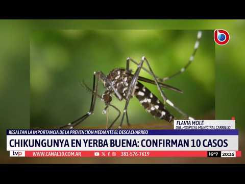 Alerta por casos de Chikungunya en Yerba Buena