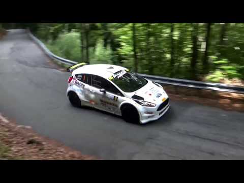 Clip Personalizzata Biggi -  Nari Ford Fiesta R5 Rally della Lanterna - Rally Val d'Aveto 2017