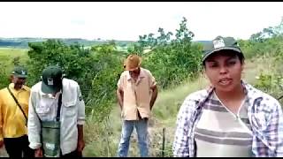 Miniatura do vídeo